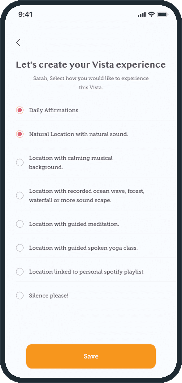 Vista: How does Vista shape the experience to the person?